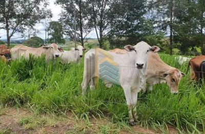 Fazenda / sítio para venda em condomínio topázio de 248.00m² com 5 quartos e 15 garagens