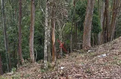 Terreno en condomínio para venda em loteamento capital ville de 807.00m²