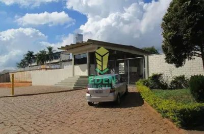 Galpão / depósito / armazém para alugar em aparecidinha de 4695.00m²