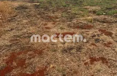 Terreno à venda no Centro, Cravinhos 