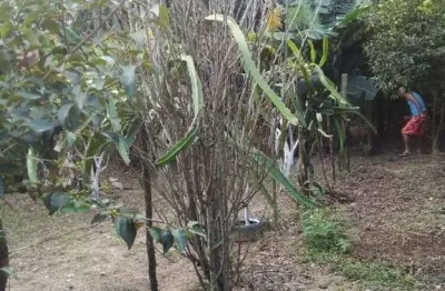 Chácara para venda em leites de 60.00m² com 2 quartos