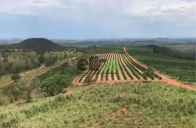 Fazenda / sítio para venda em centro de 1674.00m² com 1 quarto