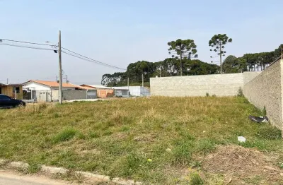 Terreno à venda na Rua Ignez Gazzola Cruz, 001, Rio Pequeno, São José dos Pinhais