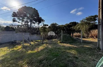 Terreno à venda na Estrada Da Ribeira Br-476, 780, Guarani, Colombo