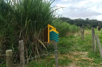Fazenda / sítio para venda em caracóis de baixo de 150000.00m² com 4 quartos, 2 suites e 15 garagens