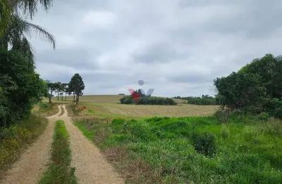 Chácara / sítio com 1 quarto à venda no Centro, Contenda 