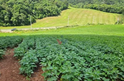Chácara para venda em área rural de araucária de 21850.00m² com 1 quarto