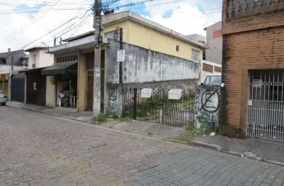 Terreno comercial para alugar no Jardim Moreira, Guarulhos 
