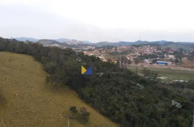 Imóvel comercial para venda em ferreiras de 17000.00m²