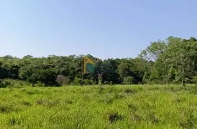 Fazenda / sítio para venda em lagoa dos patos de 5800000.00m² com 1 quarto, 1 suite e 1 garagem