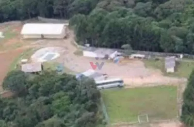 Chácara / sítio com 2 quartos à venda na Roça Velha, São José dos Pinhais 