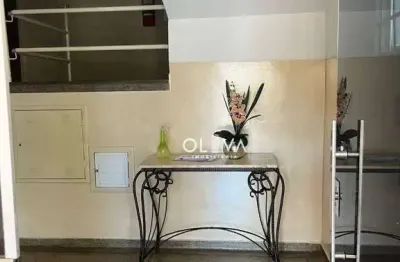 Apartamento para venda e aluguel em parque industrial de 48.00m² com 2 quartos e 1 garagem