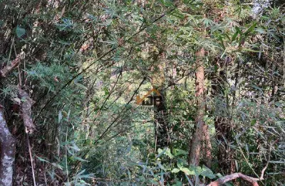 Terreno à venda na Via das Dálias, 47, Jardim Colibri, Embu das Artes