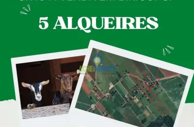 Fazenda / sítio para venda em jardim recanto dos pássaros de 50000.00m² com 2 quartos