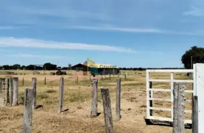 Fazenda / sítio para venda em são joão da ponte de 8900000.00m² com 2 quartos e 2 suites