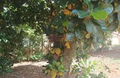 Terreno à venda na Rua Pinus, S/n, Jardim Timbara, Campo Limpo Paulista