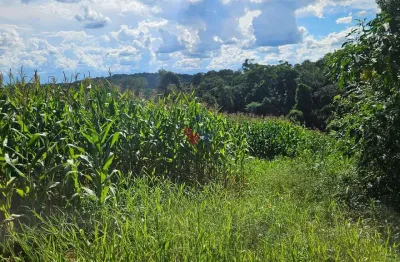 Chácara / sítio com 1 quarto à venda no Centro, Contenda 