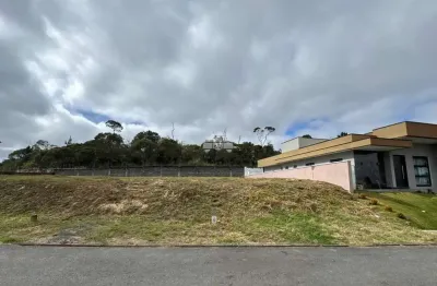 Terreno à venda na Rua do Quivi, 341, Arruda, Colombo