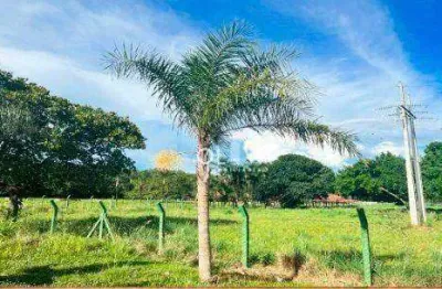 Terreno à venda no Centro, Cardoso 