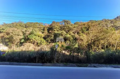 Terreno à venda na Rua Comendador Orlando Ceccon, Butiatumirim, Colombo