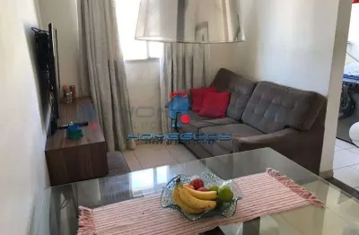 Apartamento para venda em jardim nova europa de 48.00m² com 2 quartos e 1 garagem