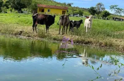 Terreno en condomínio para venda em parque das nações unidas de 1000.00m²