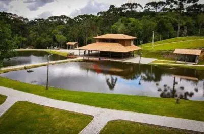 Chácara para venda em campina grande do sul de 24200.00m² com 1 quarto