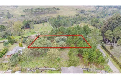 Terreno à venda na Rua Manoel Pereira da Silva, 681, Parque das Nascentes, Pinhais