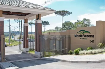 Terreno à venda na Rua do Quivi, 341, Arruda, Colombo