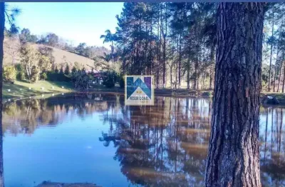 Lote / terreno para venda em barroso de 225000.00m² com 12 quartos, 4 suites e 10 garagens