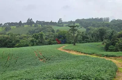 Chácara / sítio com 1 quarto à venda no Centro, Contenda 