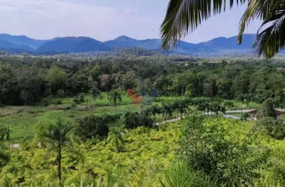 Chácara / sítio com 1 quarto à venda no Centro, Guaraqueçaba 