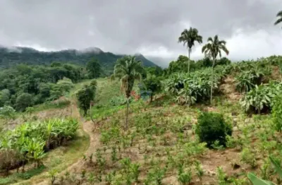Fazenda / sítio para venda em morretes de 33.00m² com 1 quarto