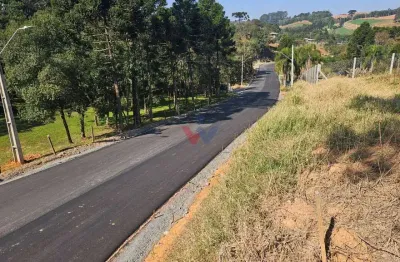 Chácara para venda em área rural de araucária de 10975.00m² com 1 quarto