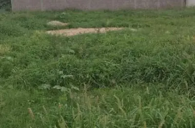 Terreno à venda na Rua João Antero Barbosa, Lado Do 78, Jardim Moreira, Araçatuba