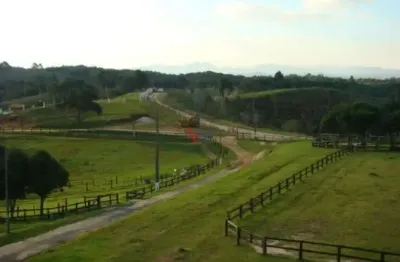 Fazenda / sítio para venda em tijucas do sul de 3000.00m² com 5 quartos e 5 suites