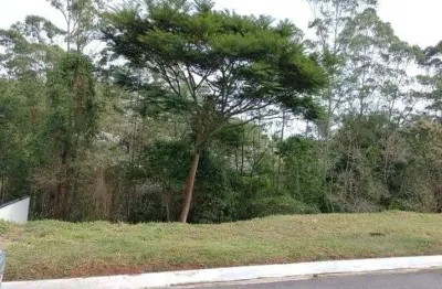 Terreno à venda na Avenida Prefeito Francisco Ribeiro Nogueira, 1534378, Mogi Moderno, Mogi das Cruzes