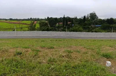 Terreno à venda na Avenida Dom Paulo Rolim Loureiro, 1534371, Vila Oliveira, Mogi das Cruzes