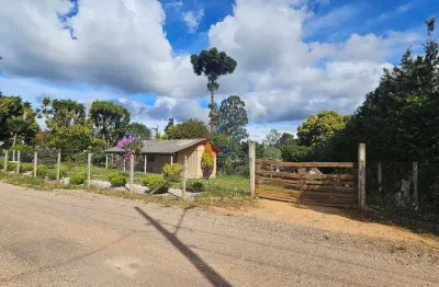 Terreno para venda em área rural de araucária de 60.00m² com 2 quartos