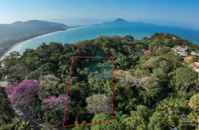 Terreno em condomínio fechado à venda em Toninhas, Ubatuba 