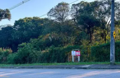 Terreno à venda na Rua Jorge Tieto Iwasa, 1655701, Chapada, Araucária