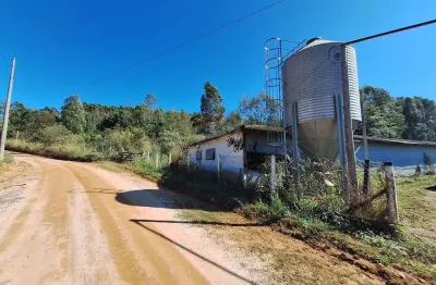 Chácara para venda em jardim itapema de 239800.00m² com 3 quartos