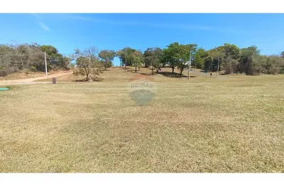 Terreno à venda no Centro, Pardinho 