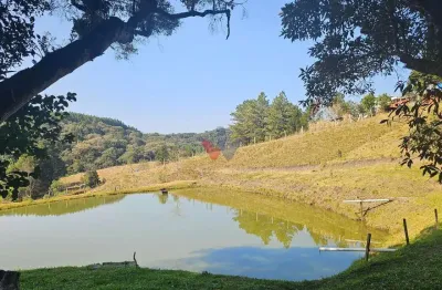 Chácara para venda em área rural de são josé dos pinhais de 200.00m² com 4 quartos e 8 garagens