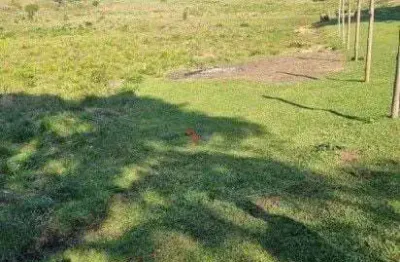 Galpão / depósito / armazém para venda em centro de 49000.00m²