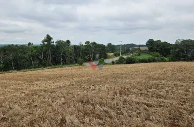 Chácara para venda em área rural de araucária de 84700.00m² com 1 quarto