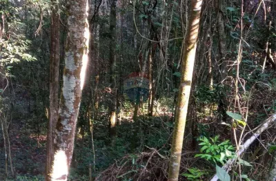 Terreno em condomínio fechado à venda no Jardins de Petrópolis, Nova Lima 