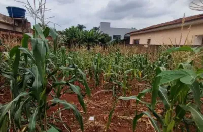 Terreno à venda na Vila Molon, Americana 