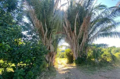 Chácara para venda em campinho de 150.00m² com 8 quartos e 4 garagens