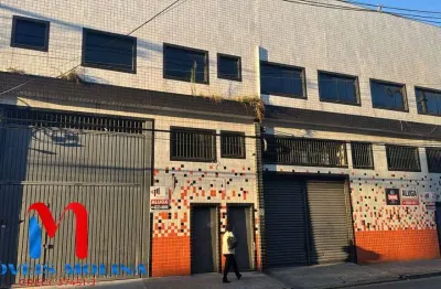 Galpão / depósito / armazém para alugar em são josé de 240.00m²